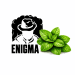 Тютюн Enigma Arctic (М'ята) 200 г